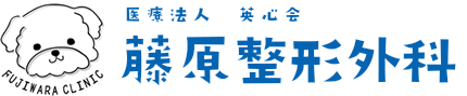 藤原整形外科